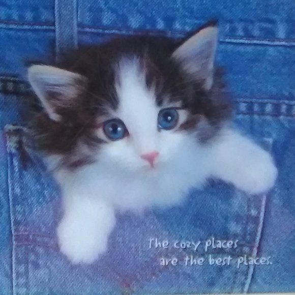 Kitten-in-a-Pocket Litho - Picture 2 of 3